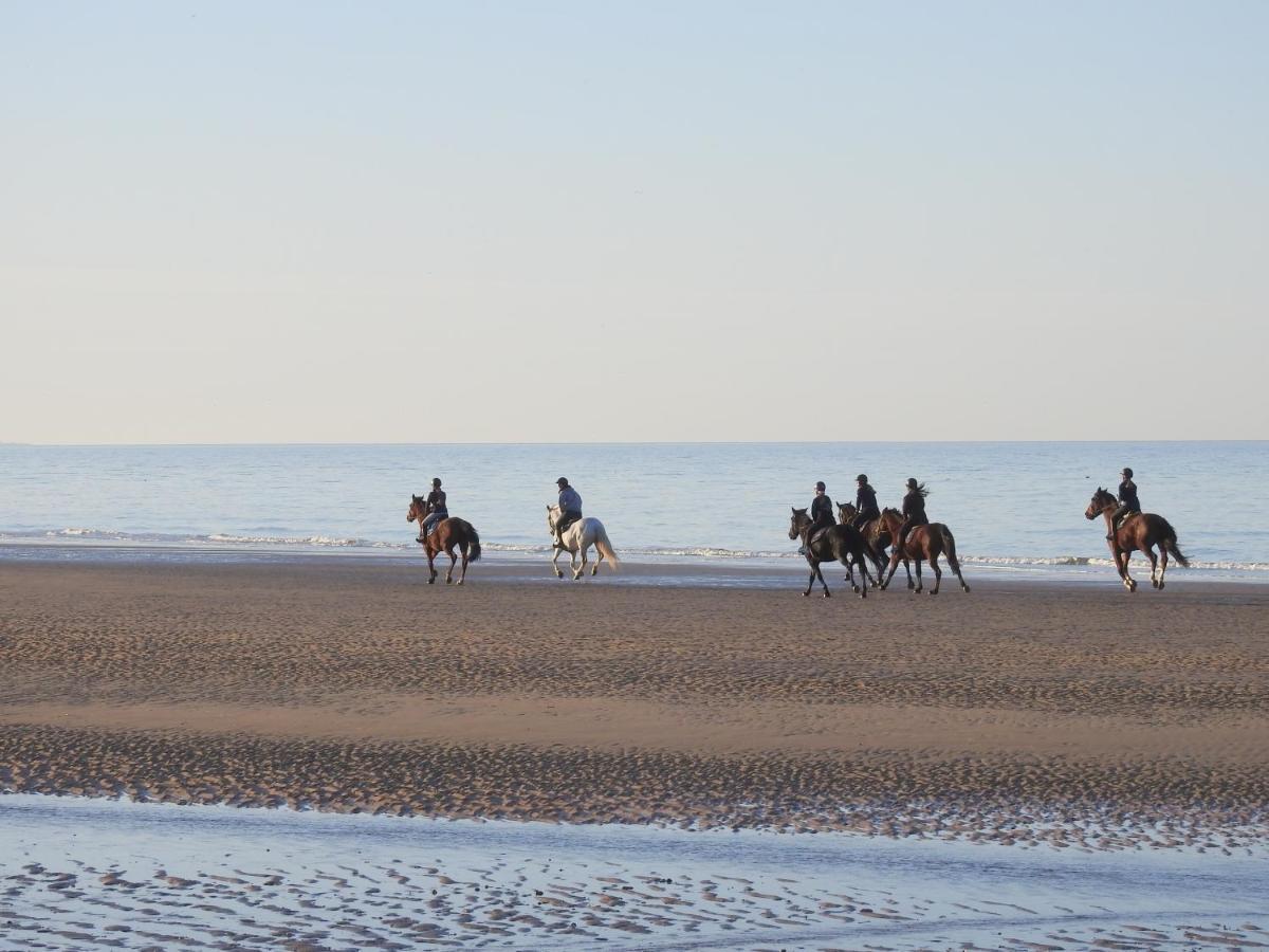 Apartmán Les 3 Mouettes A Cabourg - Cote Normande Exteriér fotografie
