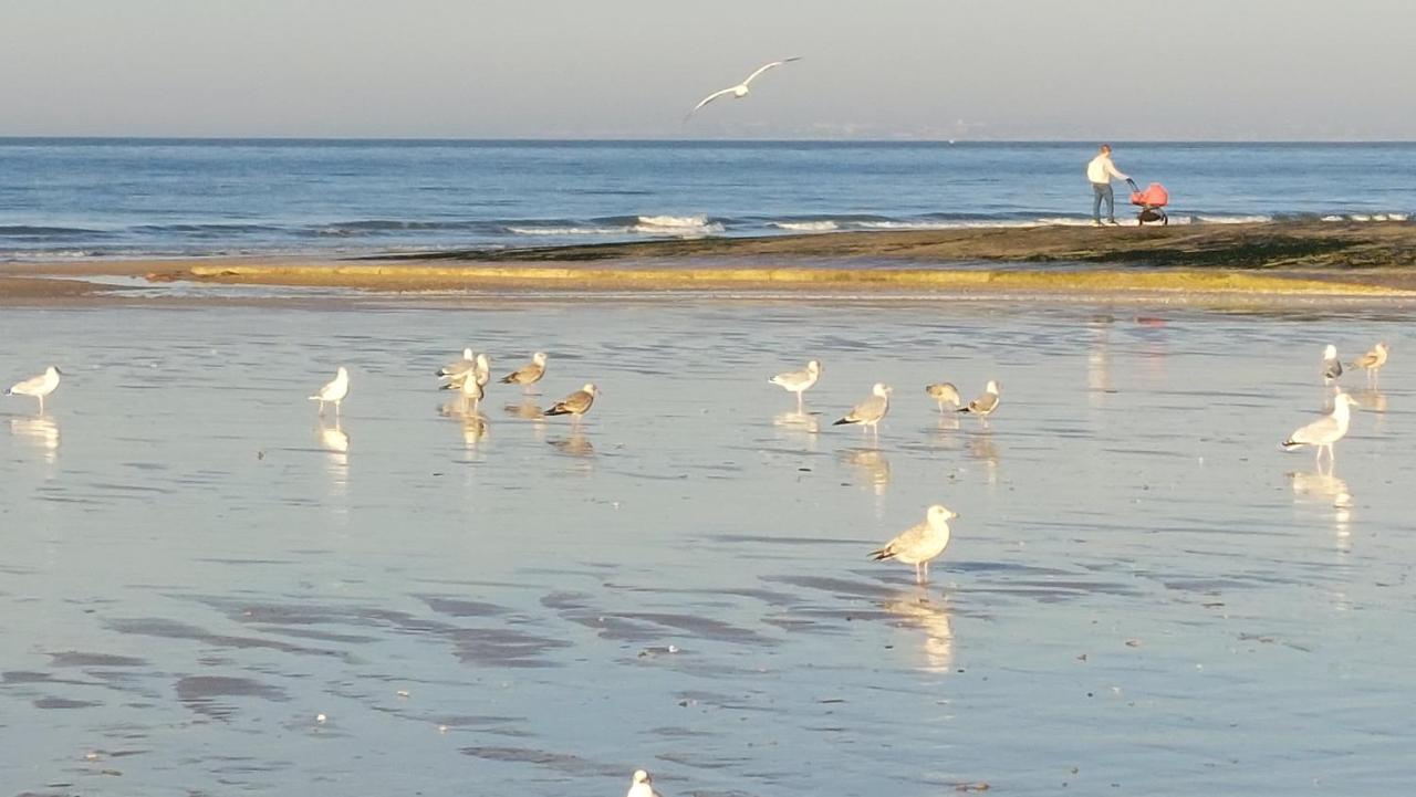 Apartmán Les 3 Mouettes A Cabourg - Cote Normande Exteriér fotografie